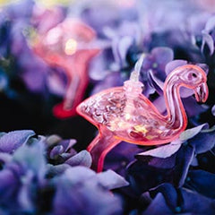 LED Novelty Lights and Gifts