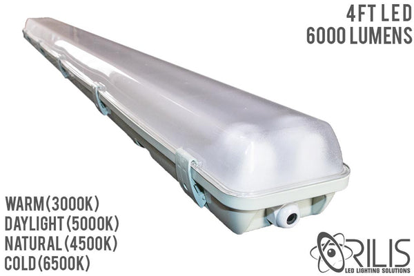 4 Ft. 48W Grey Water Vapor Tight Lighting + (2) 6500K LED T8 Tubes
